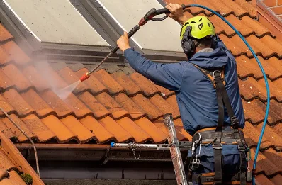 Démoussage et hydrofuge de toiture à Vergisson